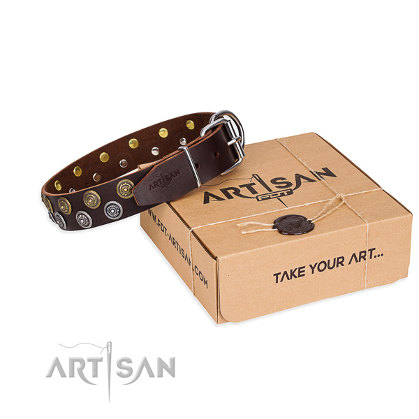Walking Dog Collar of Soft Leather