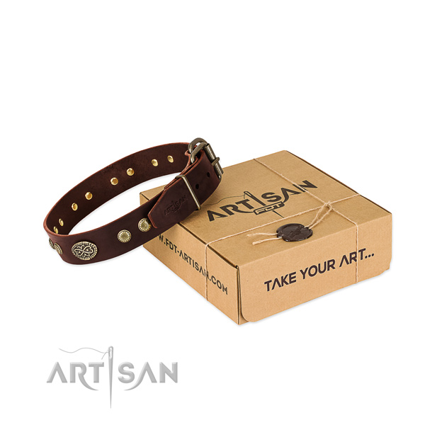 Brown Leather Dog Collar with Plates and Studs