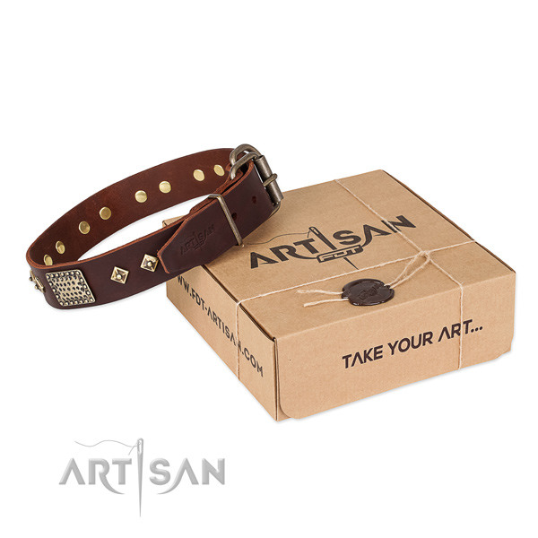 Stylish Brown Leather Dog Collar with Plates and Circles