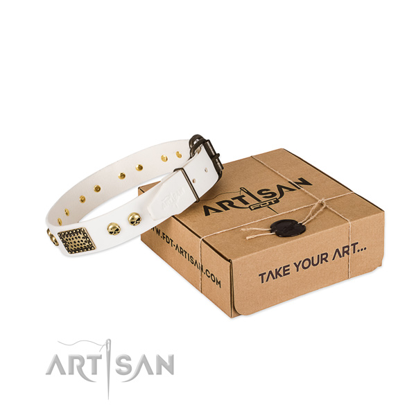 Stylish White Leather Dog Collar with Plates and Skulls