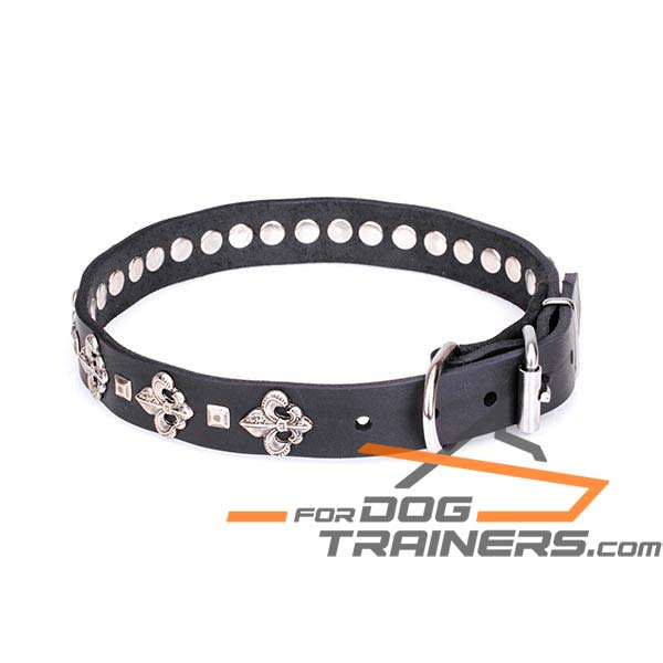 Dog Leather Collar with Additional Rivets
