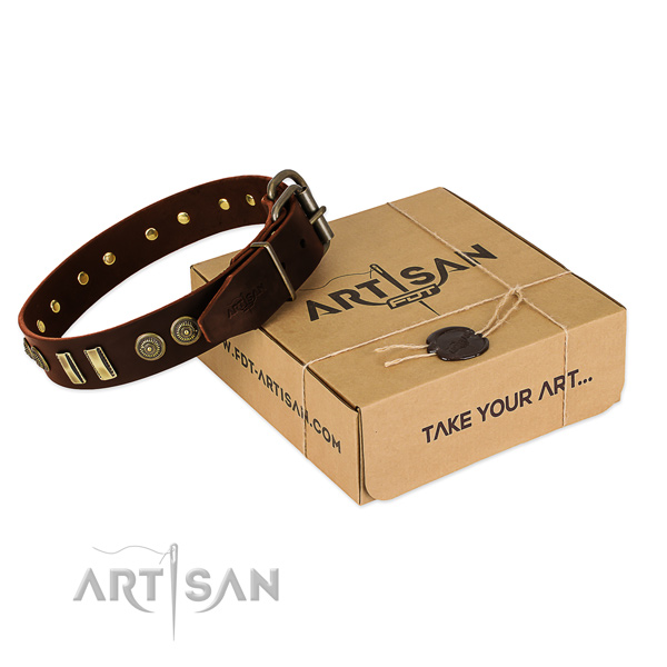 Brown leather dog collar with decorations