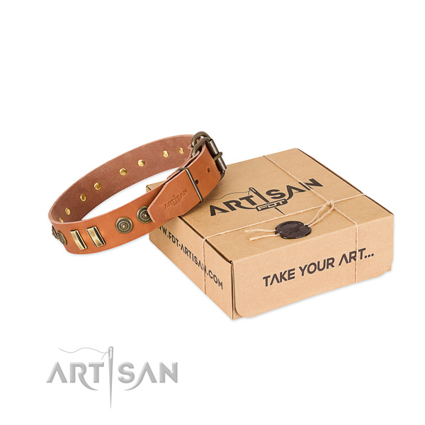 Tan leather dog collar with decorations