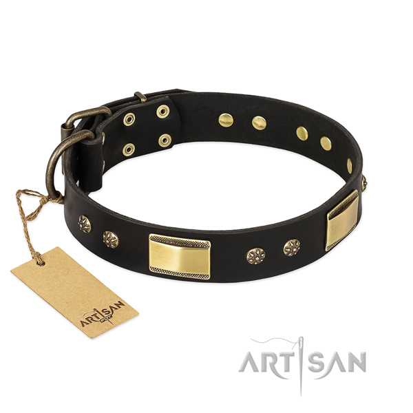 New Design Leather Collar