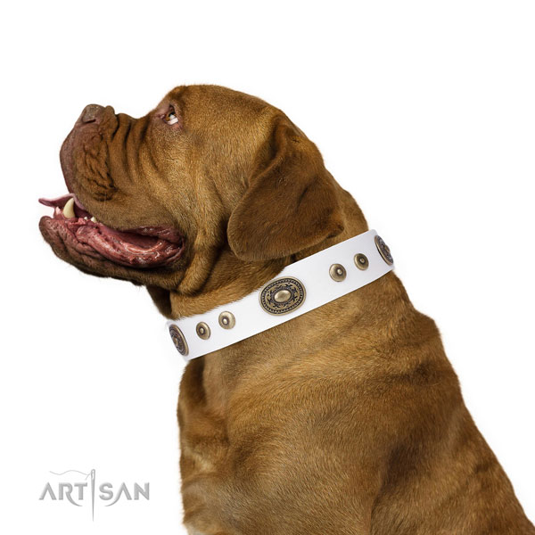 Dogue de Bordeaux stylish design full grain natural leather dog collar with decorations