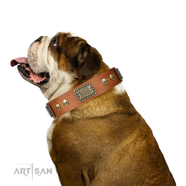 English Bulldog everyday use dog collar of flexible natural leather