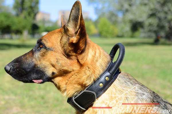Leather Training German Shepherd Collar Ergonomic Handle Durable