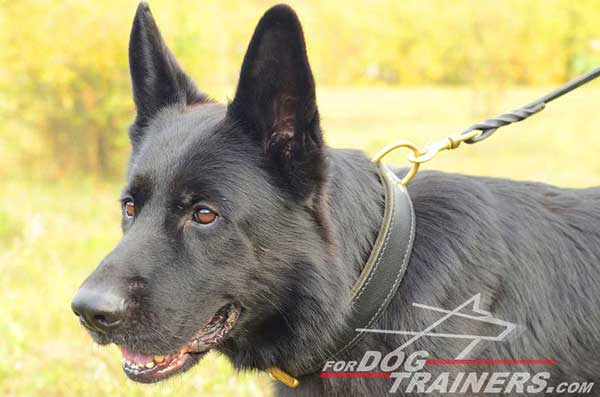 German Shepherd Leather Collar Training Dog Supply