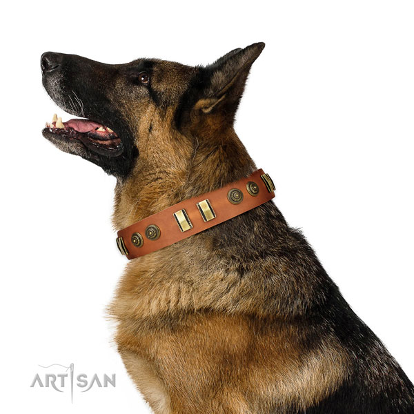 German Shepherd comfy wearing dog collar of awesome quality natural leather