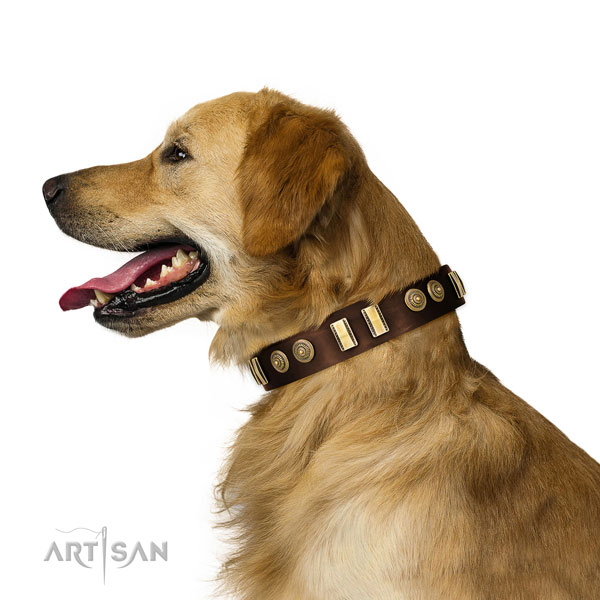 Golden Retriever stylish walking dog collar of top quality leather