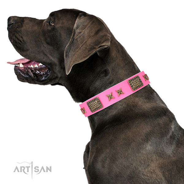 Great Dane basic training dog collar of designer natural leather
