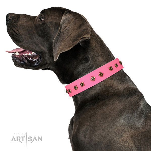 Great Dane easy wearing dog collar of remarkable quality natural leather