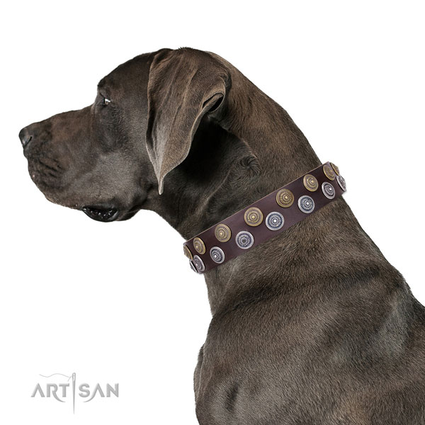 Great Dane awesome full grain leather dog collar with decorations