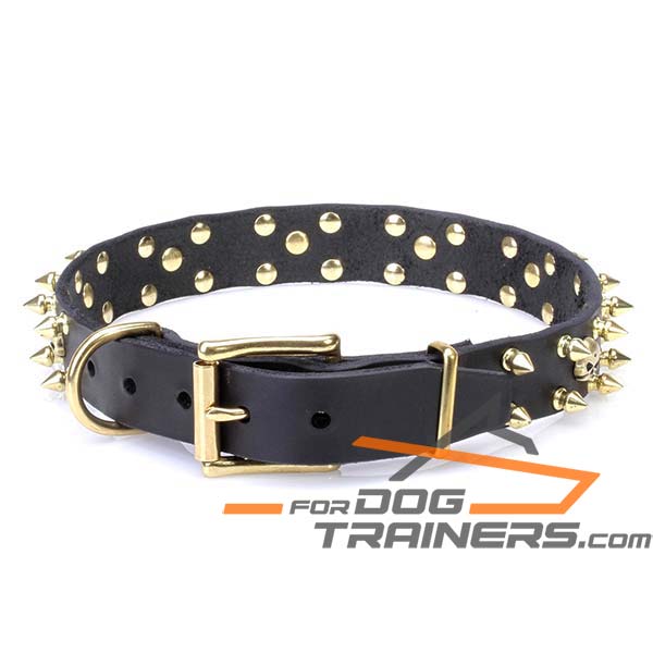 Stylish Dog Collar with Durable Fittings