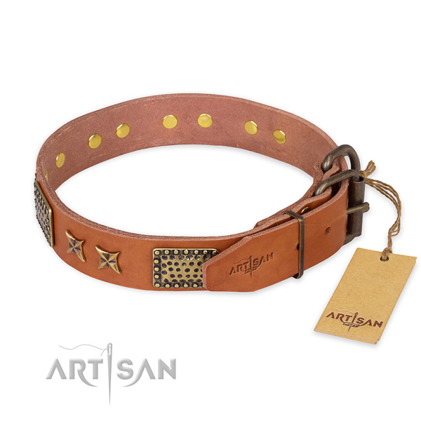 Designer Leather Dog Collar with Stars and Plates