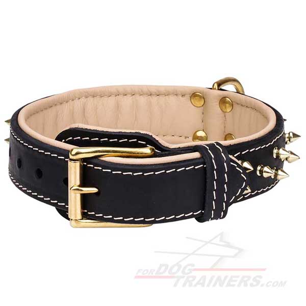 Leather Dog Collar Nappa Padded Brass Spiked