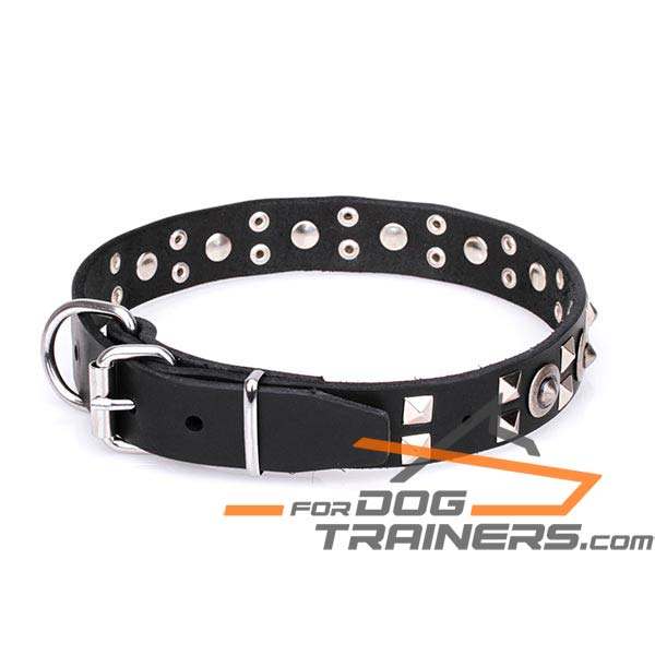 Stylish Dog Collar with Chrome Plated Steel Hardware