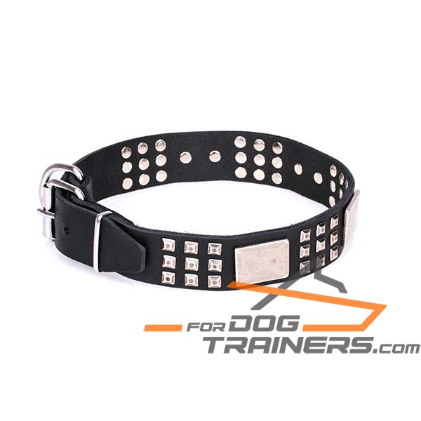 Strong Dog Collar Made of Flexible Leather