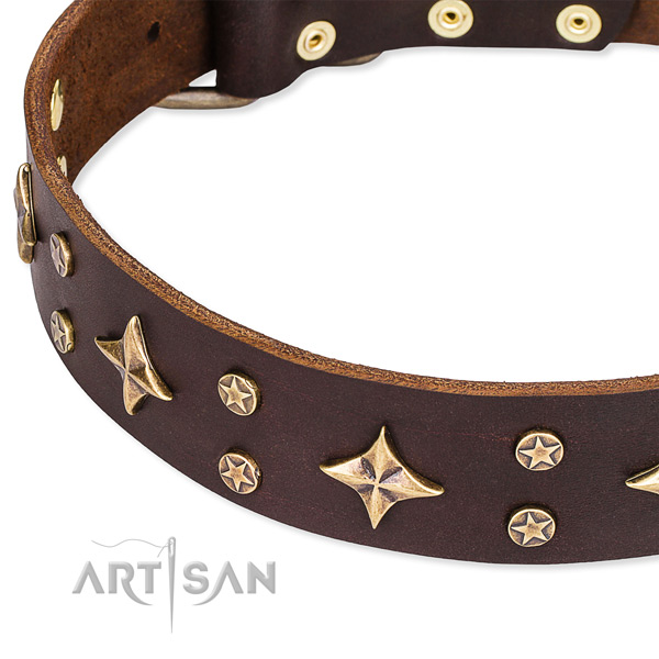 Easy to adjust brown leather dog collar