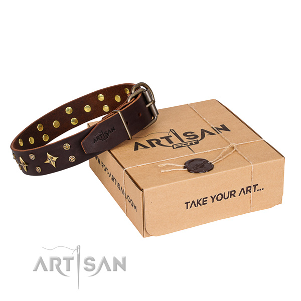 Exclusive brown leather dog collar with decorations