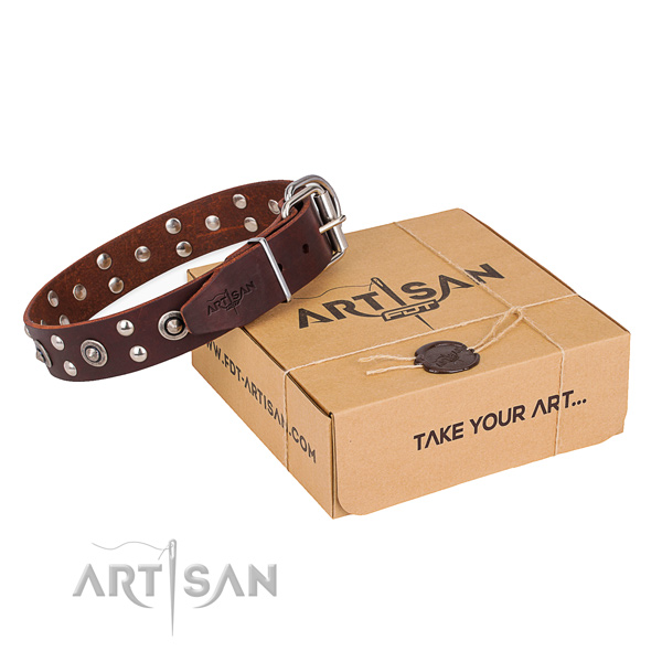 Brown leather dog collar for safe walking