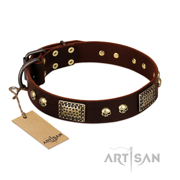 Adorned brown leather dog collar with plates and skulls