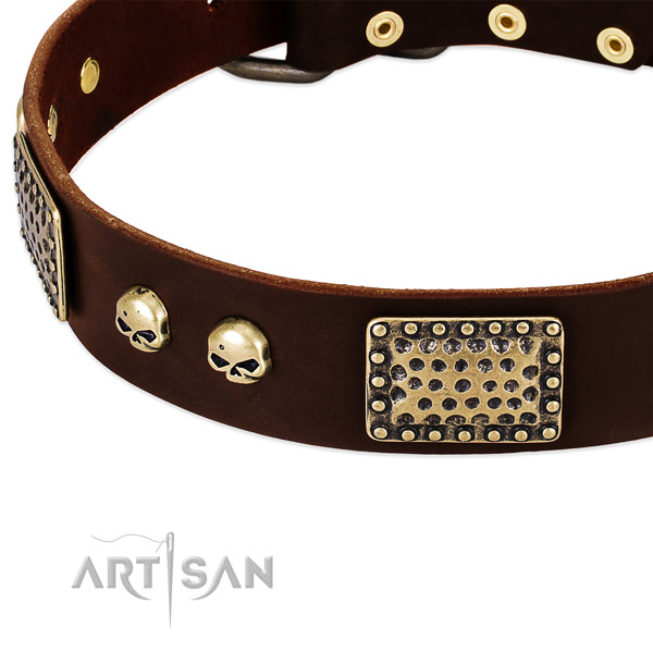 Elegant brown leather dog collar with decorations