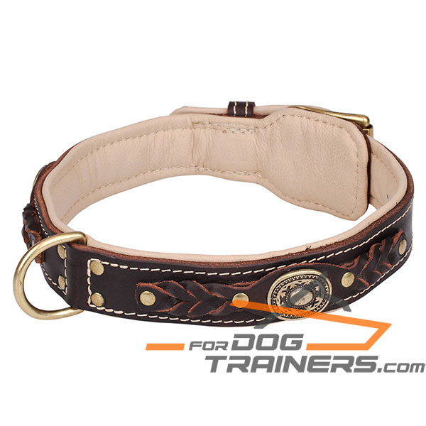 Brown leather dog collar for impressive look