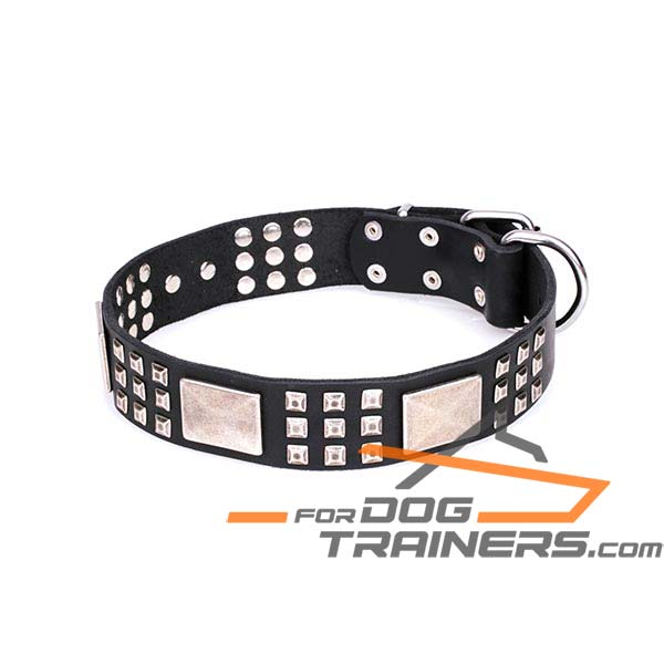 Sturdy Leather Dog Collar with Buckle and D-ring 