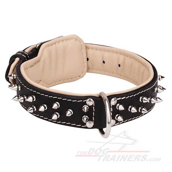 Spiked Leather Dog Collar