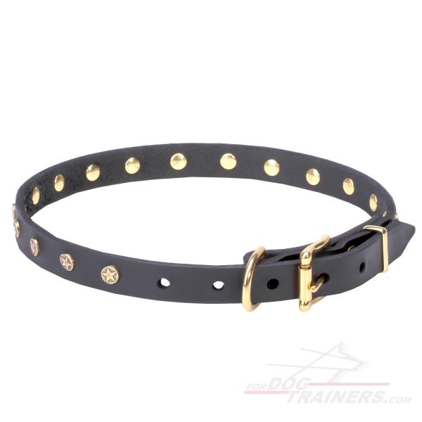 Leather dog collar with reliable brass hardware