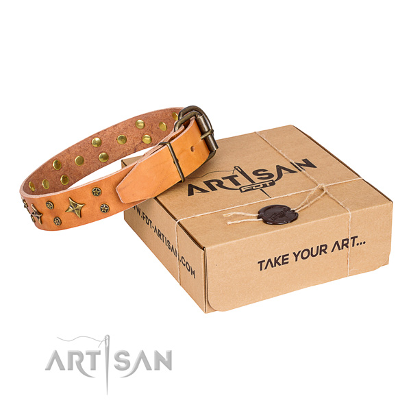 Elaborate tan leather dog collar with decorations