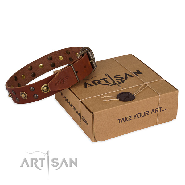 Tan leather dog collar for daily activities