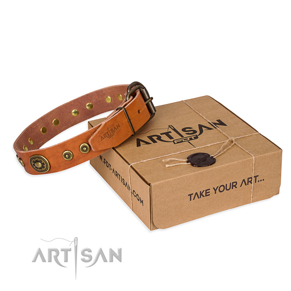 Comely tan leather dog collar