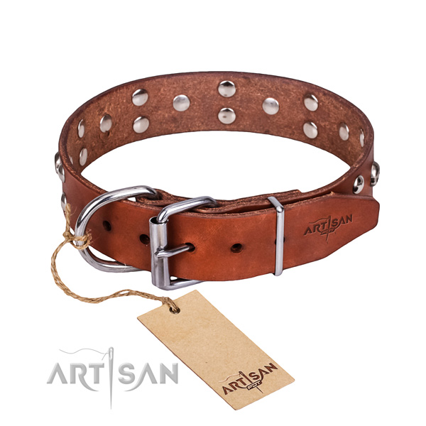 Tan leather dog collar with riveted buckle