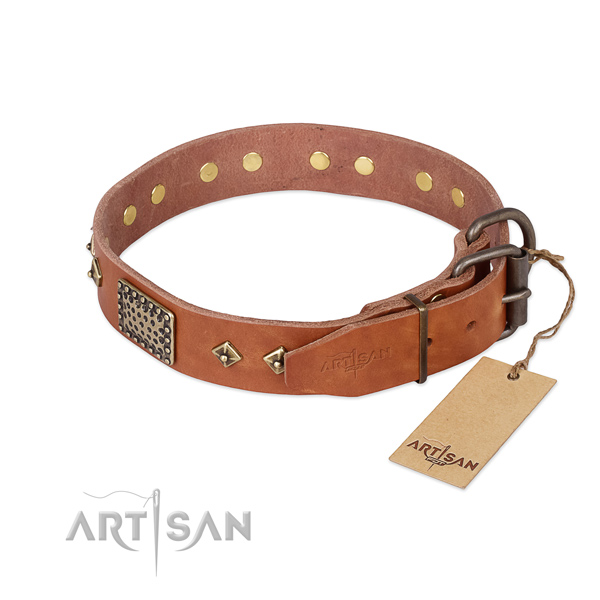 Sturdy tan leather dog collar