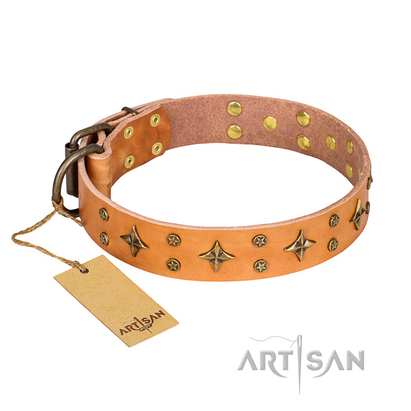 Walking tan leather dog collar with decorations