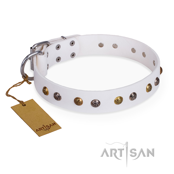 White leather dog collar with silver-like and bronze-like plated studs