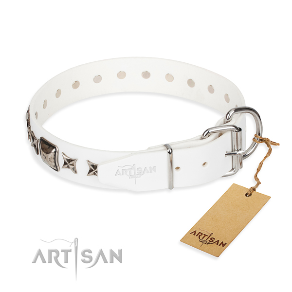 White leather dog collar with chrome plated steel hardware