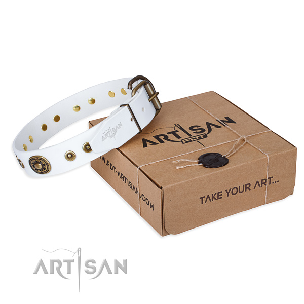 White leather dog collar with exciting adornments