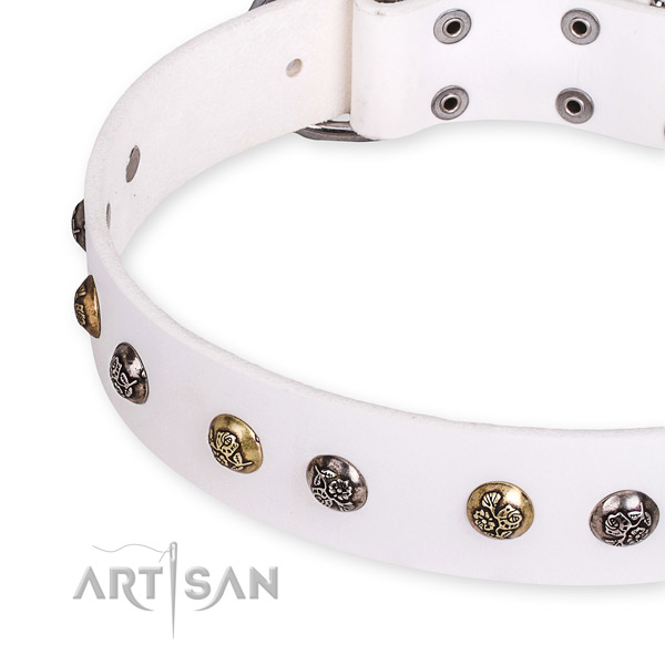 White leather dog collar with riveted decorations