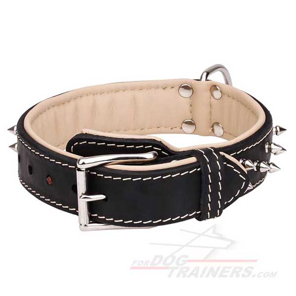 Spiked Leather Dog Collar with Nickel Plated Hardware