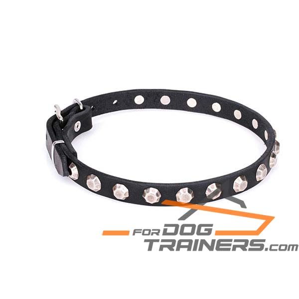 Charming studded leather dog collar