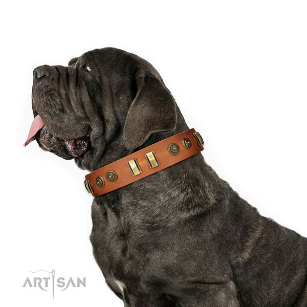 Mastino Neapoletano fancy walking dog collar of stylish natural leather