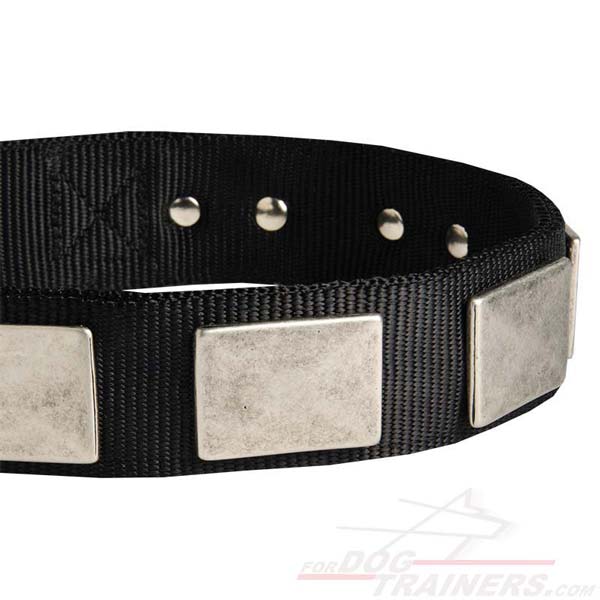 Nickel Plates on training dog collar