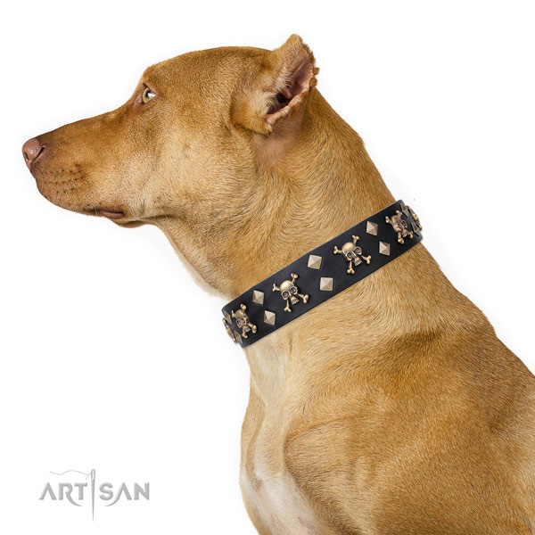 Pitbull remarkable natural genuine leather dog collar with adornments