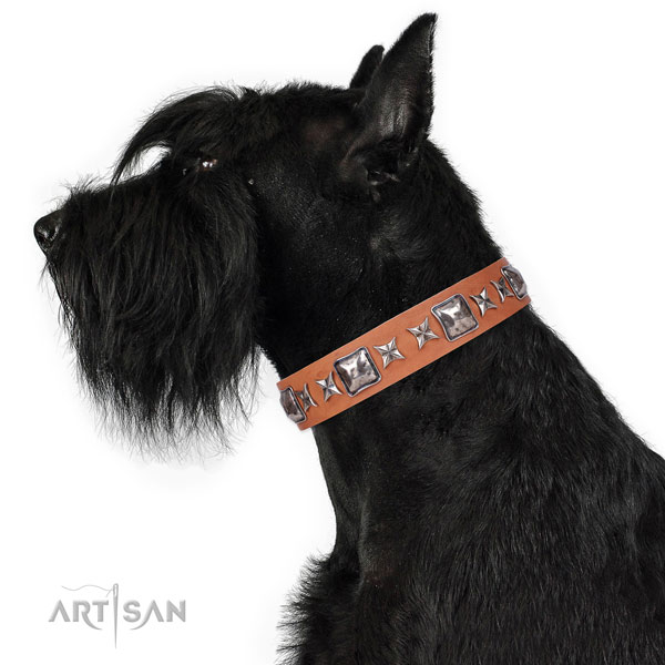 Reisenschnauzer handcrafted full grain genuine leather dog collar with studs