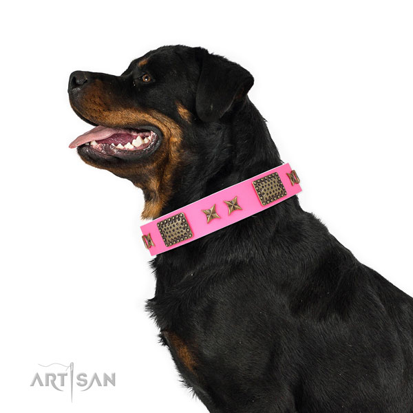 Rottweiler daily use dog collar of top notch quality leather