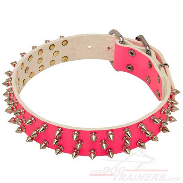 Bright Pink Collar with Nickel Spikes