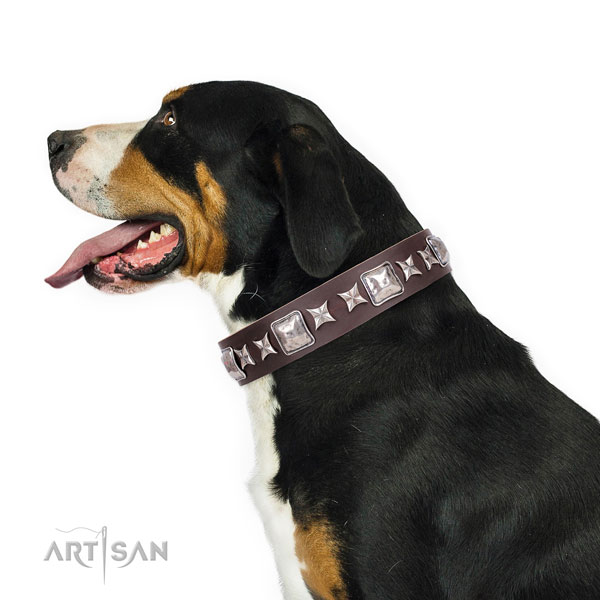 Swiss Mountain Dog decorated full grain leather dog collar with studs